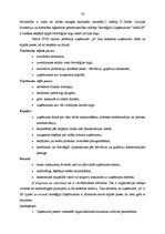 Diplomdarbs 'SIA "A" saimnieciskās darbības analīze un attīstības iespējas', 56.
