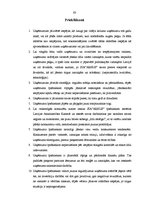 Diplomdarbs 'SIA "A" saimnieciskās darbības analīze un attīstības iespējas', 63.
