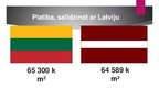 Prezentācija 'Prezentācija par Lietuvu', 5.