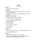 Konspekts 'Medicīniskā parazitoloģija', 13.