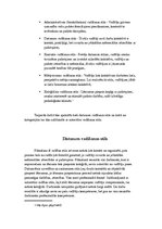 Konspekts 'Vadīšanas stili', 4.