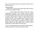 Biznesa plāns 'Biznesa plāns SIA "Krīvu auto"', 20.