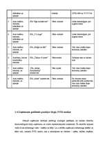 Biznesa plāns 'Biznesa plāns SIA "Krīvu auto"', 31.