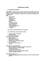 Biznesa plāns 'Biznesa plāns SIA "Krīvu auto"', 34.