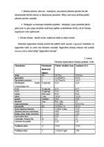 Biznesa plāns 'Biznesa plāns SIA "Krīvu auto"', 51.