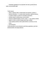 Biznesa plāns 'Biznesa plāns SIA "Krīvu auto"', 54.