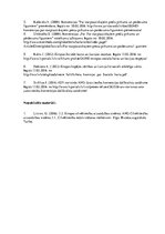 Referāts 'Pieci starptautiskie līgumi, kas ir saistoši Latvijai', 13.