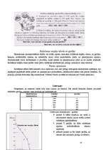 Referāts 'Biznesa pamati', 18.