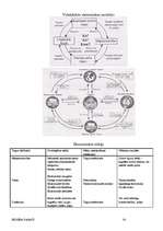 Referāts 'Biznesa pamati', 20.