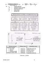 Referāts 'Biznesa pamati', 28.