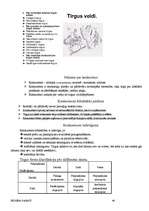 Referāts 'Biznesa pamati', 40.