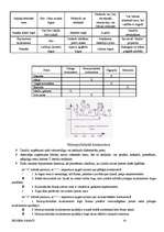 Referāts 'Biznesa pamati', 42.