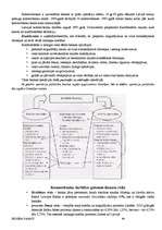 Referāts 'Biznesa pamati', 64.