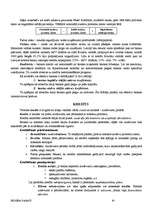 Referāts 'Biznesa pamati', 65.