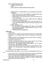 Referāts 'Biznesa pamati', 66.