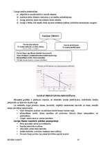 Referāts 'Biznesa pamati', 67.