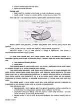 Referāts 'Biznesa pamati', 73.