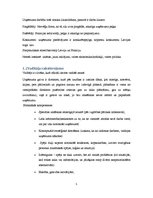 Referāts 'Menedžmenta funkciju analīze uzņēmumā "X"', 5.