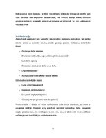 Referāts 'Menedžmenta funkciju analīze uzņēmumā "X"', 12.