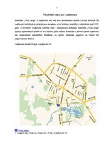 Prakses atskaite 'Profesionālās prakses pārskats', 2.