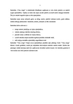 Prakses atskaite 'Profesionālās prakses pārskats', 3.