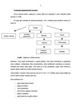 Prakses atskaite 'Profesionālās prakses pārskats', 4.