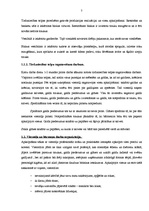 Prakses atskaite 'Profesionālās prakses pārskats', 7.