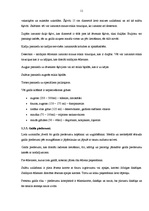 Prakses atskaite 'Profesionālās prakses pārskats', 11.