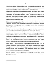 Prakses atskaite 'Profesionālās prakses pārskats', 14.