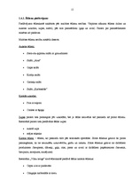 Prakses atskaite 'Profesionālās prakses pārskats', 15.