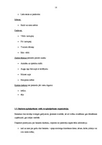 Prakses atskaite 'Profesionālās prakses pārskats', 16.