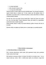 Prakses atskaite 'Profesionālās prakses pārskats', 17.