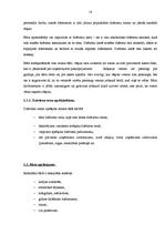 Prakses atskaite 'Profesionālās prakses pārskats', 18.