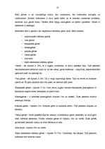 Prakses atskaite 'Profesionālās prakses pārskats', 19.