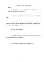 Referāts 'Psiholoģiskā atkarība no modernās tehnoloģijas', 12.