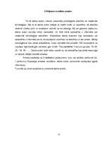 Referāts 'Psiholoģiskā atkarība no modernās tehnoloģijas', 13.