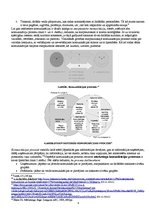 Konspekts 'Virzība tirgū un starptautiskā mārketinga komunikācijas. Starpkultūru atšķirības', 4.