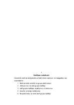 Konspekts 'Interaktīvais maršruts Kuldīgā', 6.