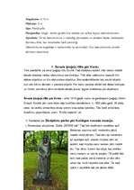 Konspekts 'Interaktīvais maršruts Kuldīgā', 12.