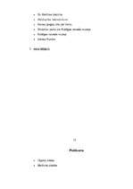 Konspekts 'Interaktīvais maršruts Kuldīgā', 17.