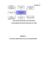 Referāts 'Системa оценки персонала на предприятии', 2.