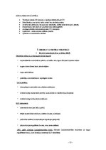 Referāts 'Eiropas Savienības būtība un veidošanās', 13.