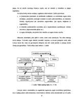 Diplomdarbs 'Iekšēja un ārēja augstākas izglītības kvalitātes novērtēšana', 19.