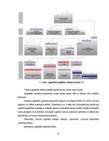 Diplomdarbs 'Iekšēja un ārēja augstākas izglītības kvalitātes novērtēšana', 32.