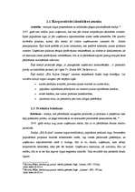 Referāts 'Korporatīvās identitātes dzīves cikls un tā analīze uzņēmumā "X"', 13.