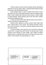 Referāts 'Korporatīvās identitātes dzīves cikls un tā analīze uzņēmumā "X"', 15.