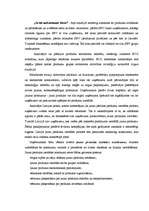 Referāts 'Korporatīvās identitātes dzīves cikls un tā analīze uzņēmumā "X"', 19.