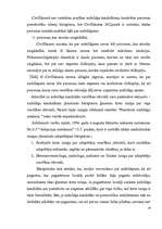 Referāts 'Adopcija', 16.