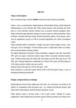 Referāts 'Mārketinga kampaņas plāns skrejritenim "Dip Dap"', 2.