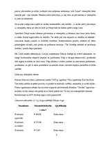 Referāts 'Mārketinga kampaņas plāns skrejritenim "Dip Dap"', 3.